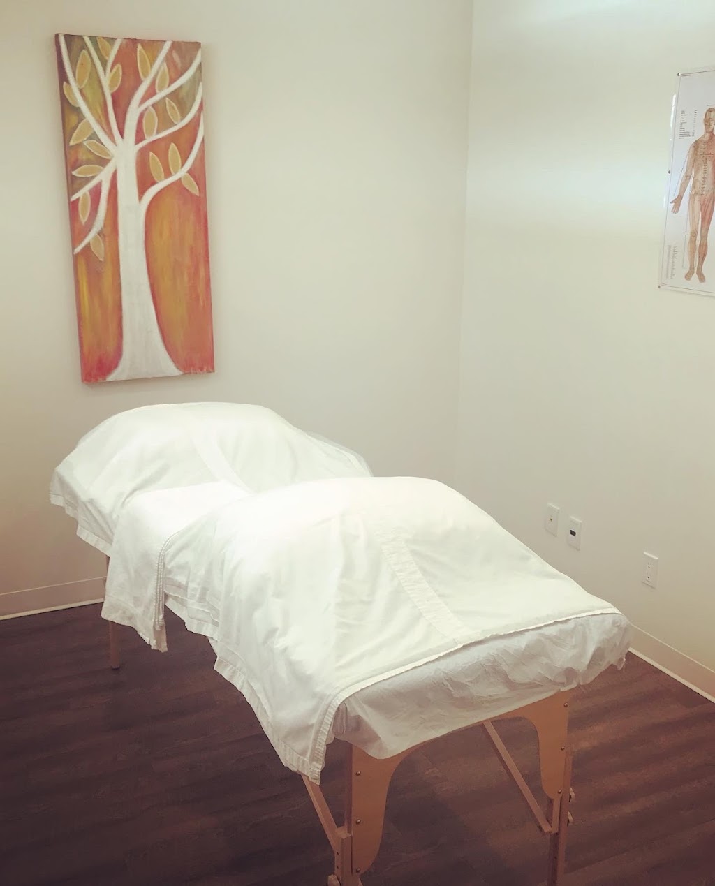 Clinique Shanti | 2381 Rue Principale O suite 210, Magog, QC J1X 0N4, Canada | Phone: (873) 662-9007