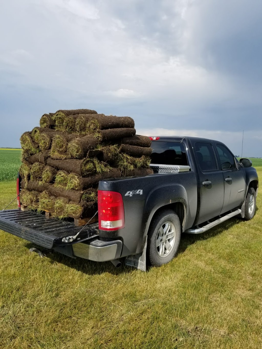 Bueckert Sod Farm | 13100 Road 19 West, Winkler, MB R6P 0A8, Canada | Phone: (204) 325-0747