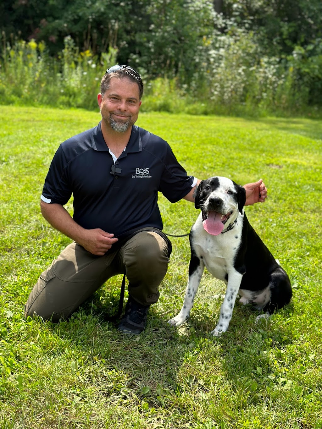 Boss Co Dog training and rehabilitation | 45 Robertson Dr, Stratford, ON N5A 0J6, Canada | Phone: (416) 903-1124