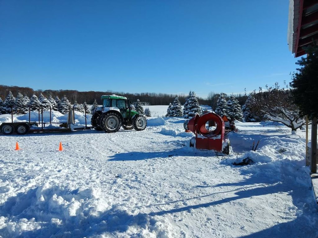 Georgian Bay Tree Farms | 6073 Line 4 N, Oro-Medonte, ON L4R 4K3, Canada | Phone: (647) 278-3225