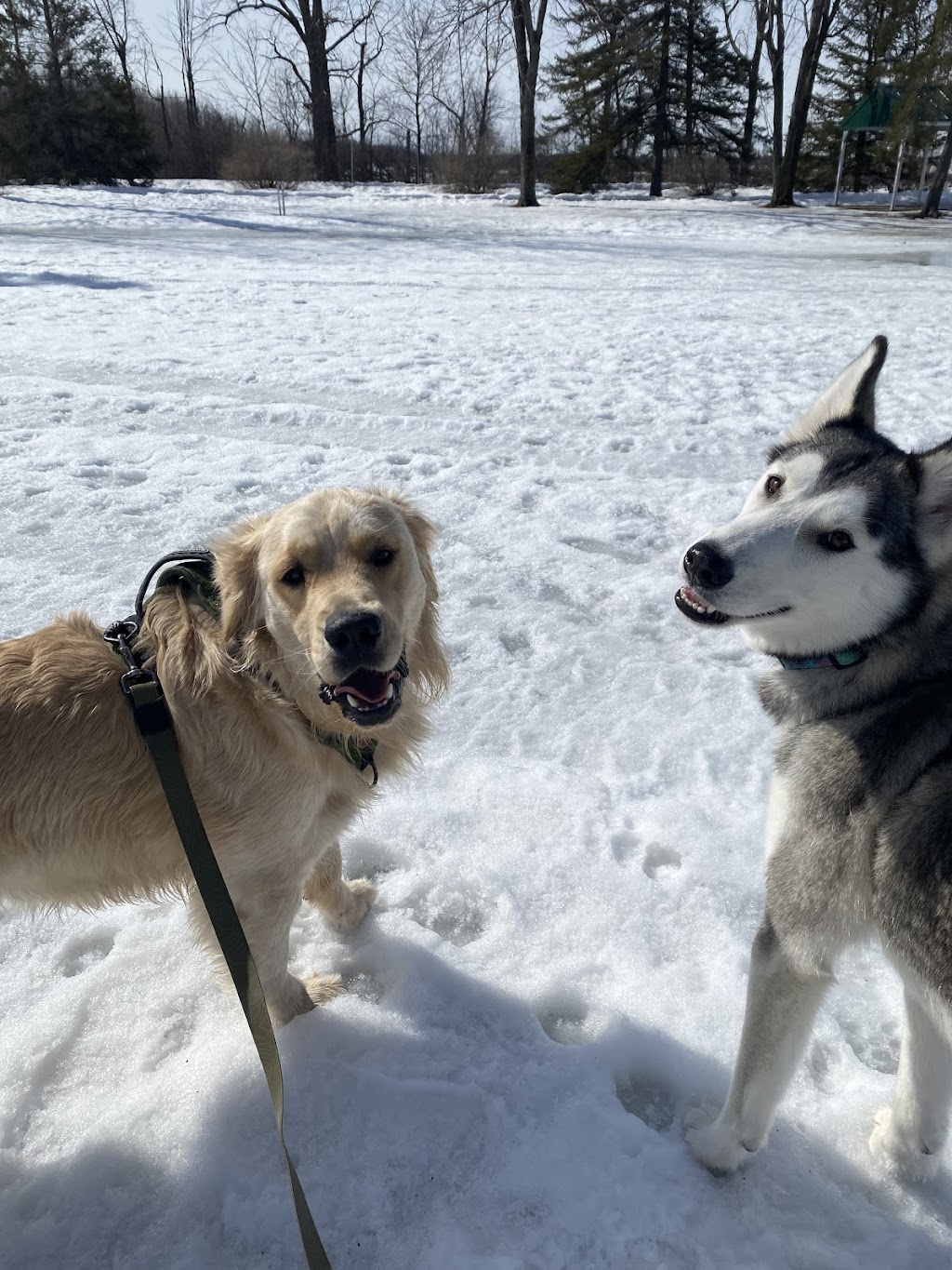 Molly et Moi | 1305 Chem. de Saint-Jean, La Prairie, QC J5R 2L8, Canada | Phone: (438) 937-5181