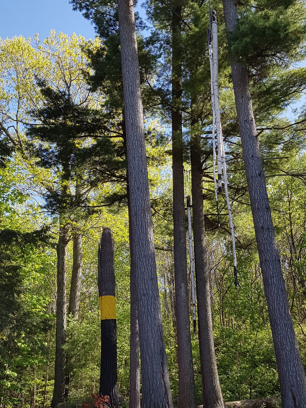 Sandy Beach | Hudson, QC - Oka, QC, Hudson, QC, Canada