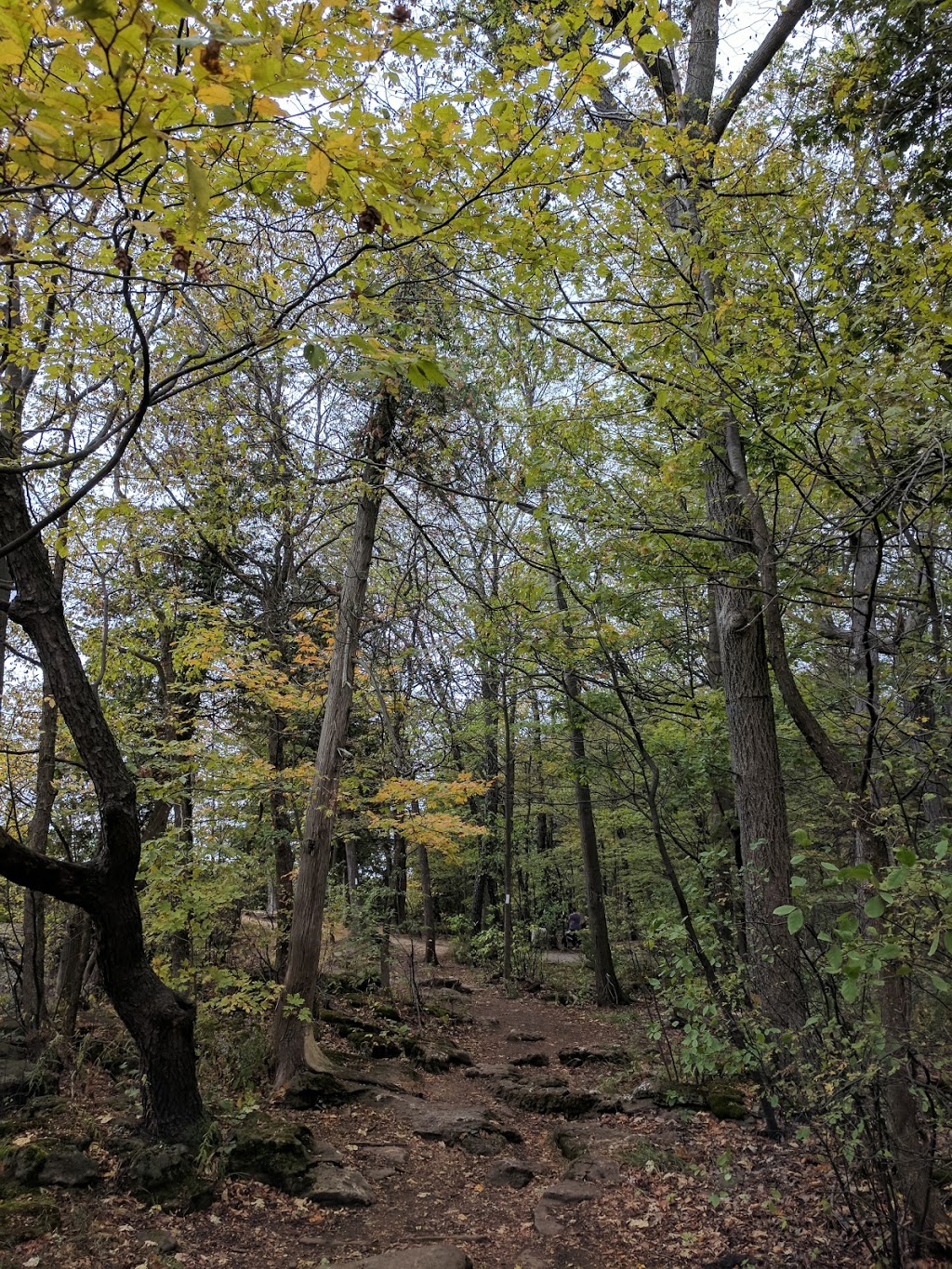 Trail Head- Bruce Side Trail | 4E7, Bruce Trail, Grimsby, ON L3M 3K1, Canada