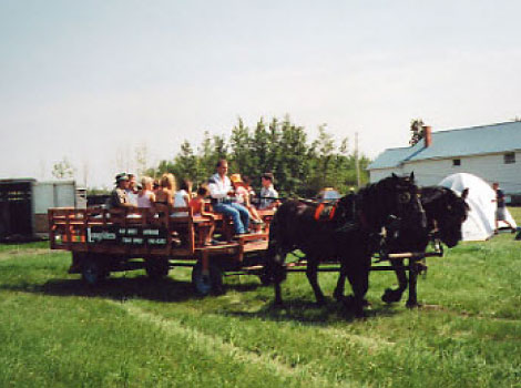 Longriders Wagon Rides and Sleigh Rides Edmonton | 23136 Secondary Highway 643, Gibbons, AB T0A 1N0, Canada | Phone: (780) 203-2122