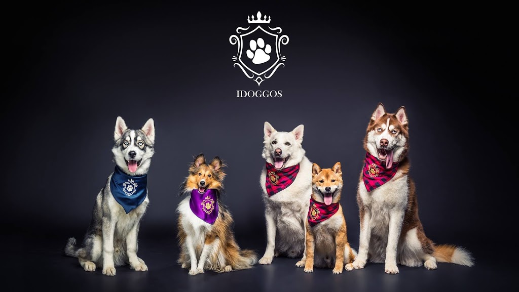 iDoggos | 1270 Boulevard Dagenais O, Laval, QC H7L 5E3, Canada