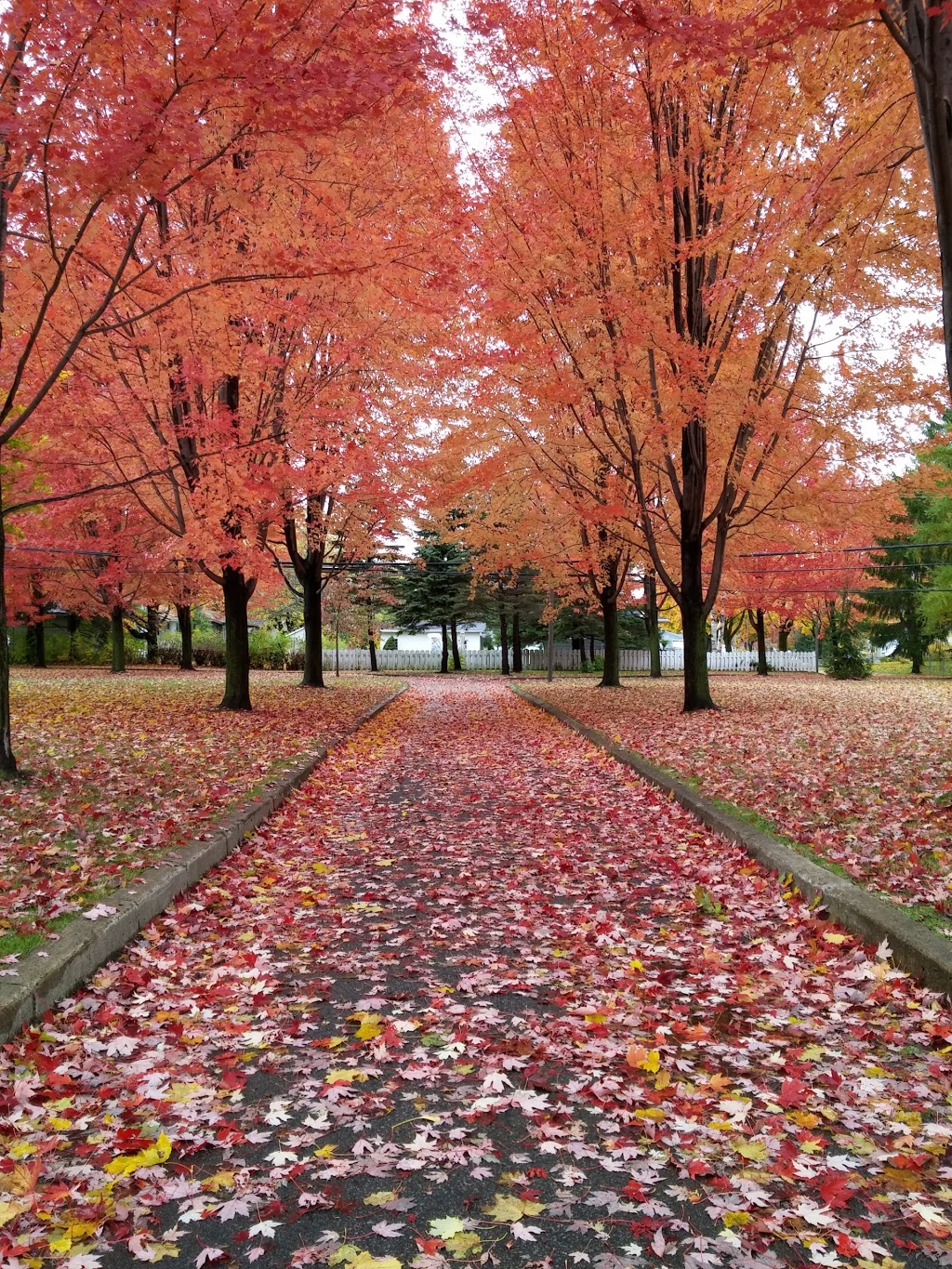 Saint-François-Xavier Park | 2175 Rue Laurent Laroche, Québec, QC G1P 2S8, Canada | Phone: (418) 691-6873