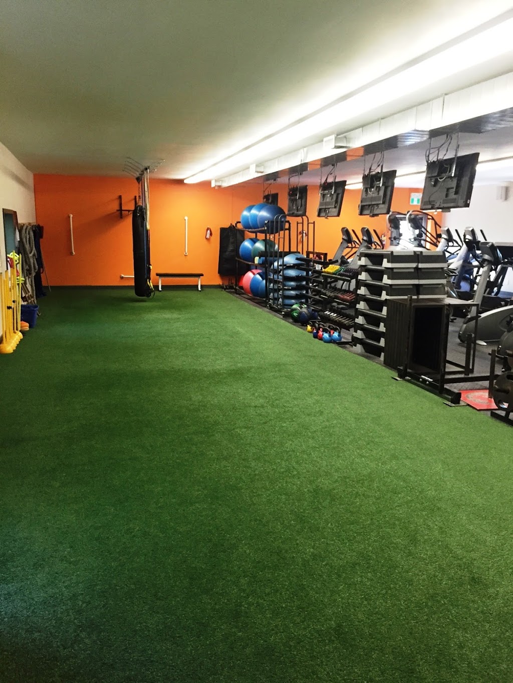 Body Shop Fitness Open 24hours | 173 St Paul Crescent, St. Catharines, ON L2S 1N4, Canada | Phone: (905) 988-9007
