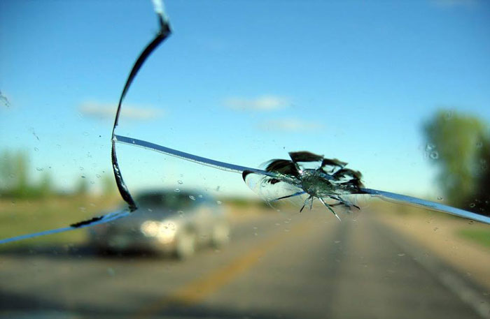 Burlington Auto Glass Repair | 170 Hammersmith Ct, Burlington, ON L7L 4N5, Canada | Phone: (905) 592-2233