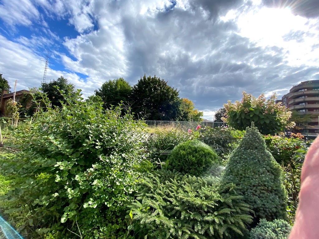 Côte-Saint-Luc Senior’s Garden | 6868 Chem. Norwalk, Côte Saint-Luc, QC H4W 2X6, Canada | Phone: (514) 485-6806