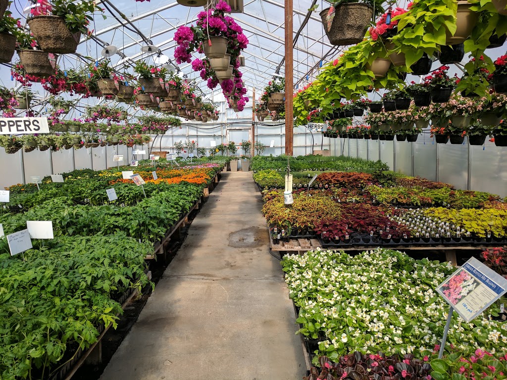 Shady Lanes Greenhouse & Perenials | 6158 Weisenberg Rd, West Montrose, ON N0B 2V0, Canada | Phone: (519) 846-2972