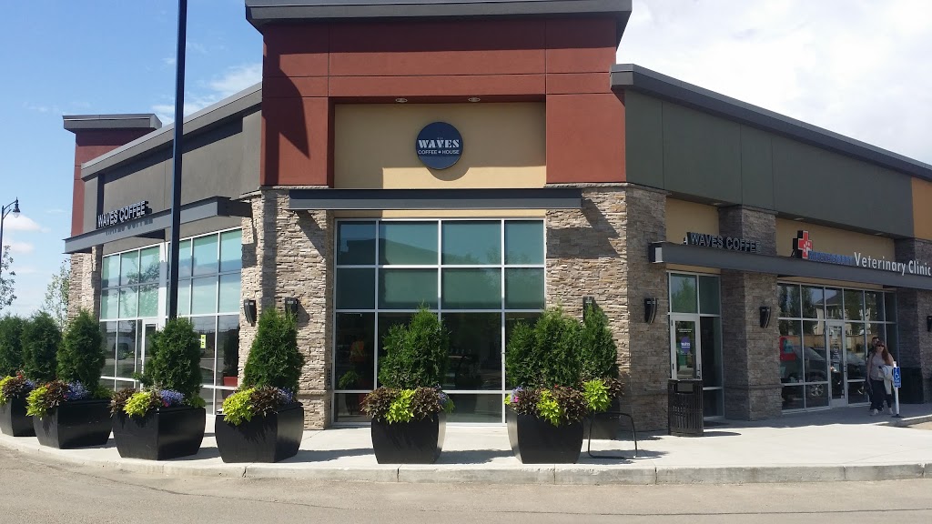 Waves Coffee | 5124 Mullen Rd, Edmonton, AB T6R 0S9, Canada | Phone: (780) 705-9283