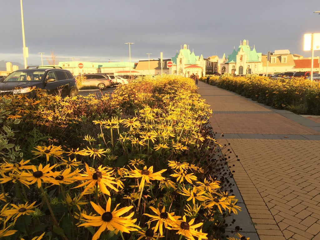 Airport Employees Parking | Templeton Station Rd, Richmond, BC V7B 0A8, Canada | Phone: (604) 207-7077