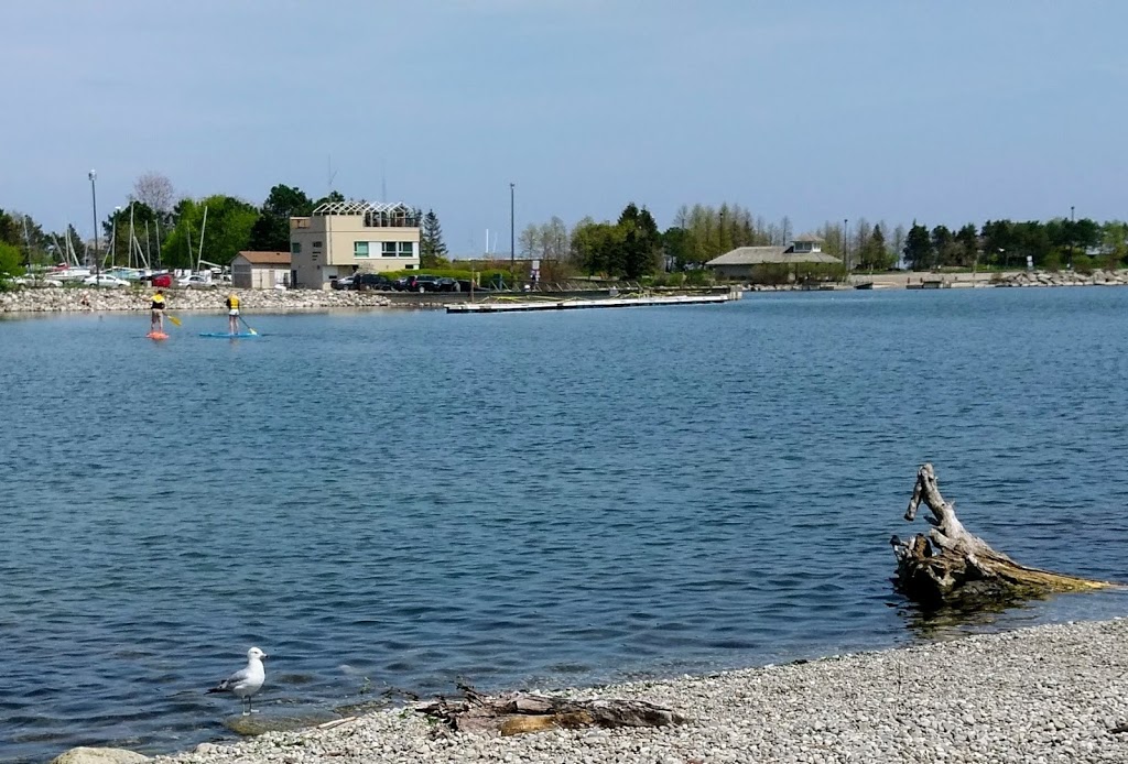 Mississauga Sailing Club | 120 Lakefront Promenade, Mississauga, ON L5E 3G9, Canada | Phone: (905) 891-1941