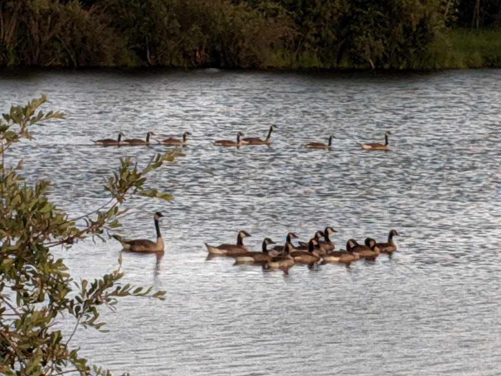 Rainbow Park | Westlock County, AB T0G 0P0, Canada