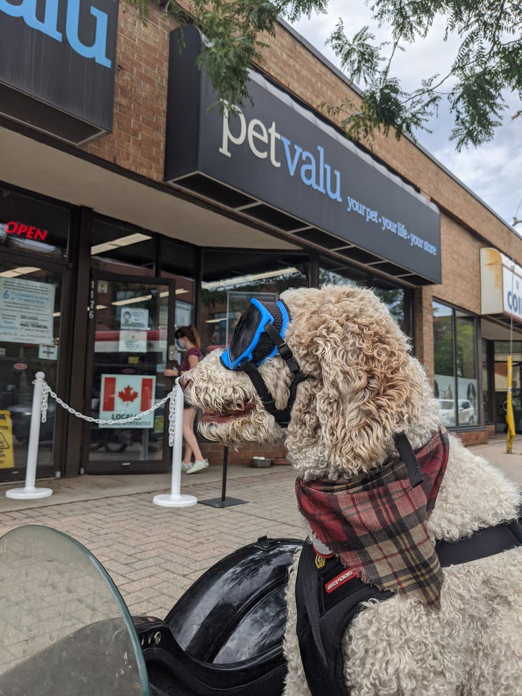 Pet Valu | 1176 King St W, Toronto, ON M6K 1E6, Canada | Phone: (416) 916-1199