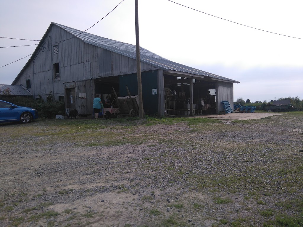 Ferme Coopérative Tourne-Sol / Tourne-Sol Co-operative Farm | 1035 Chem. Saint-Dominique, Les Cèdres, QC J7T 1P5, Canada | Phone: (450) 452-4271