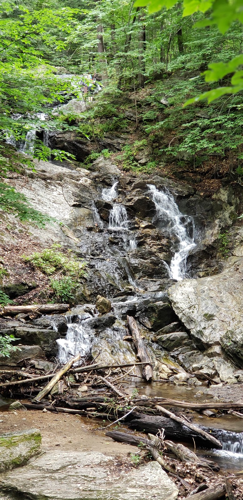 Lauriault Trail | Promenade Champlain, Chelsea, QC J9J, Canada