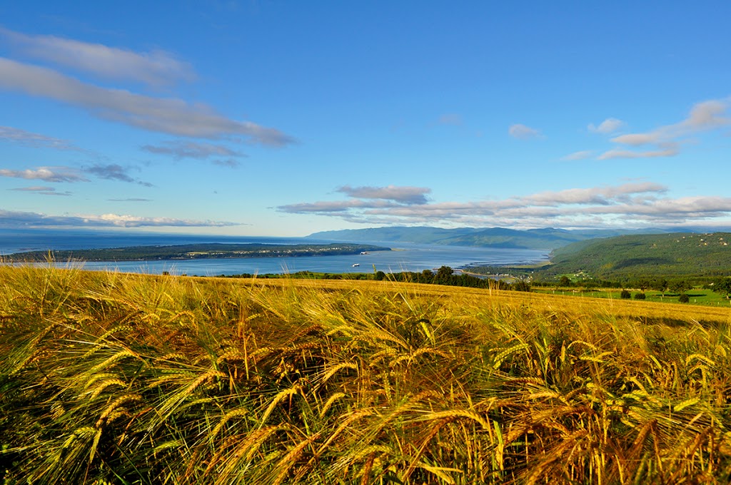 Audio-Guide Isle-aux-Coudres | 3384 Chemin des Coudriers, Saint-Bernard-sur-Mer, QC G0A 3J0, Canada | Phone: (418) 435-8710