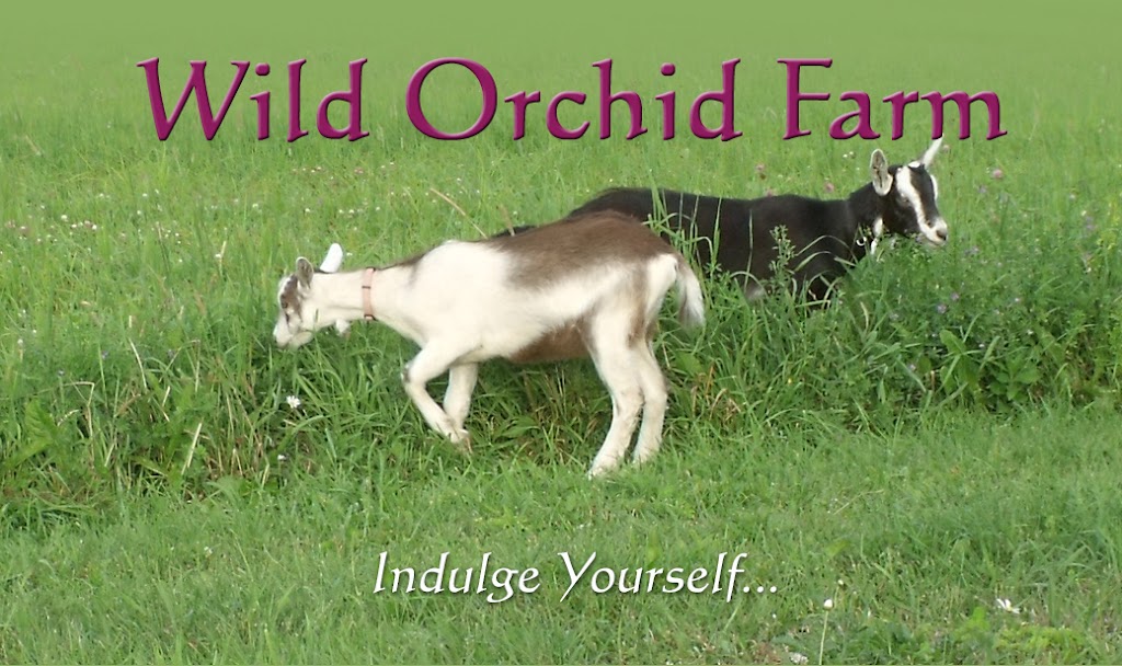 Wild Orchid Farm | 837 NS-245, Antigonish, NS B2G 2L1, Canada | Phone: (902) 863-8865