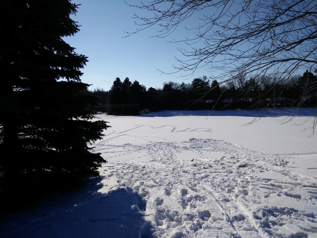 Carlyle Park | Pioneer Park, Kitchener, ON N2P, Canada