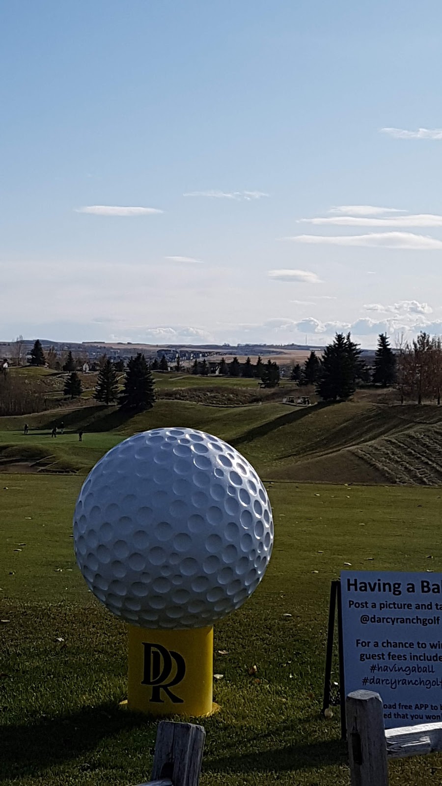 DArcy Ranch Golf Club | 376 DArcy Ranch Drive, Okotoks, AB T1S 1A5, Canada | Phone: (403) 938-4455