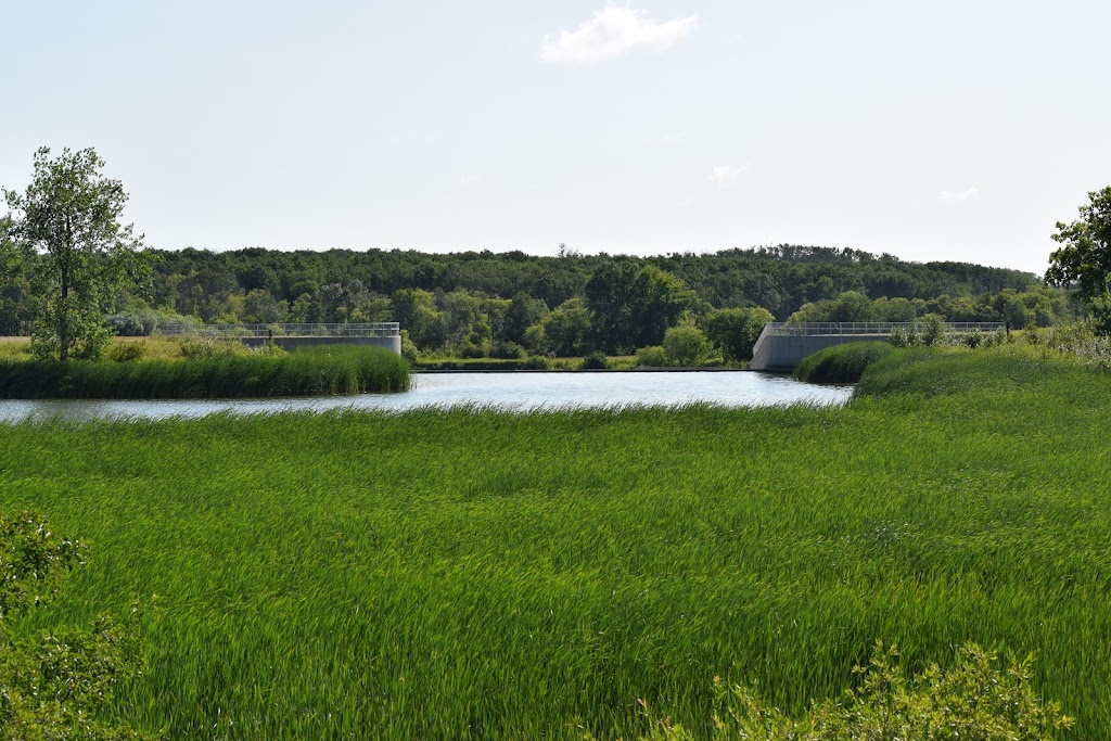 Stephenfield Provincial Park | Stephenfield, MB R0G 2R0, Canada | Phone: (204) 828-3366