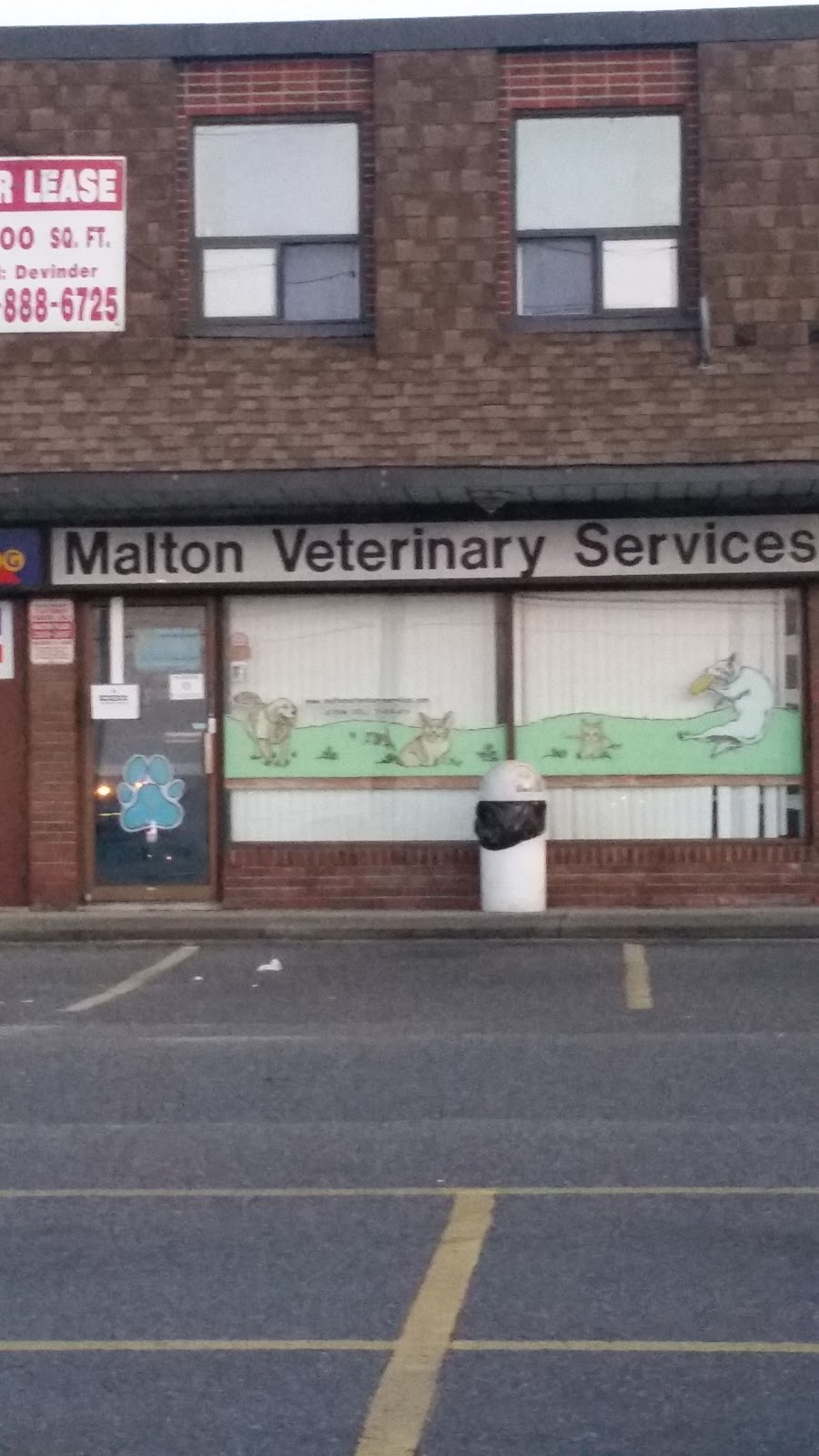Malton Veterinary Services | 2901 Derry Rd E, Mississauga, ON L4T 1A6, Canada | Phone: (905) 678-2929