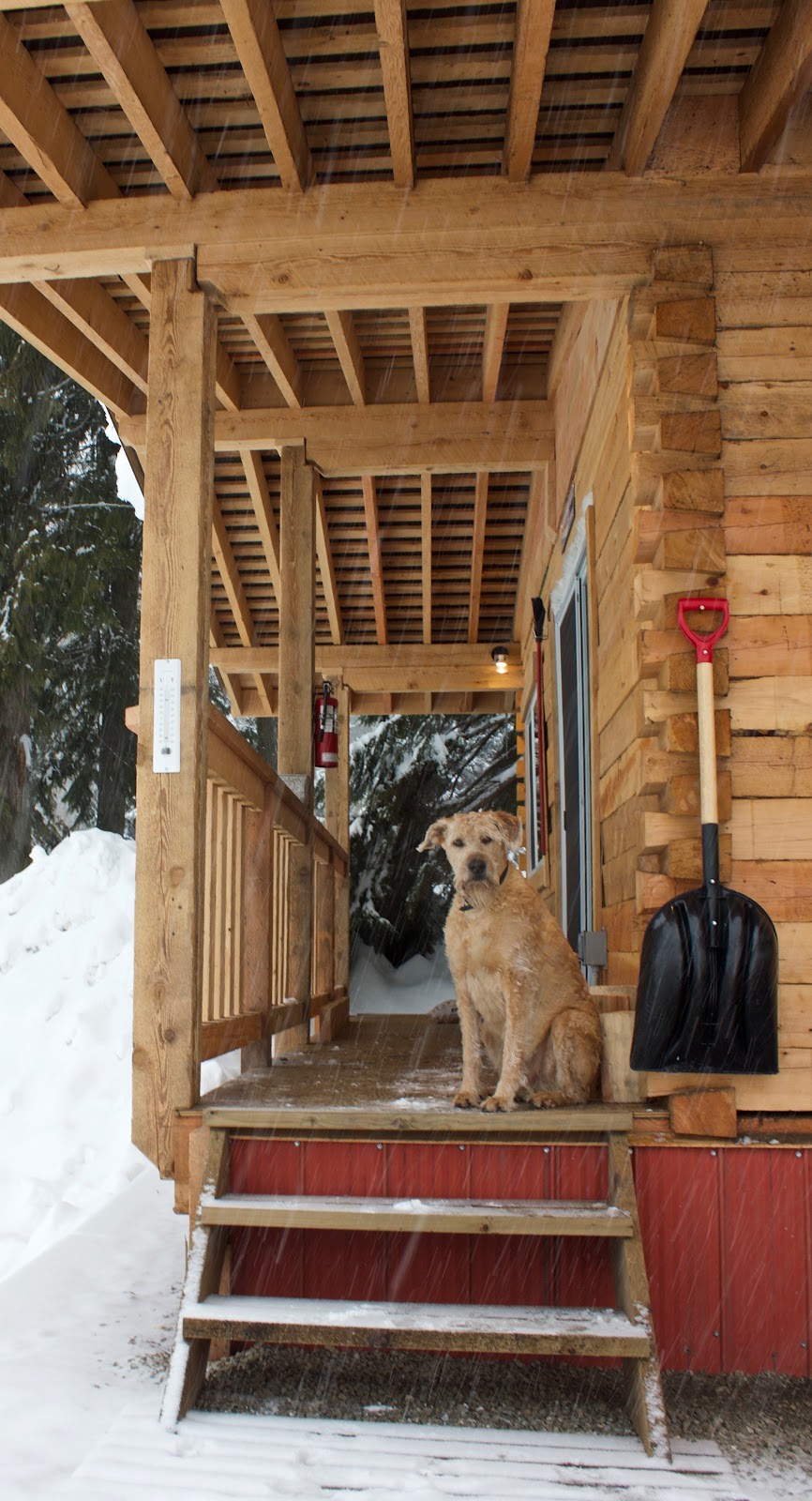 Base Camp Guest House & Cabins | 1075 Pine Rd, Revelstoke, BC V0E 2S0, Canada | Phone: (250) 814-4780