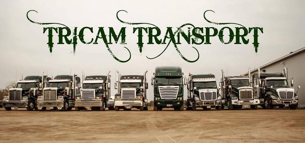 Transport Tricam Inc | 176 Rte du Président-Kennedy, Saint-Henri, QC G0R 3E0, Canada | Phone: (418) 882-0059