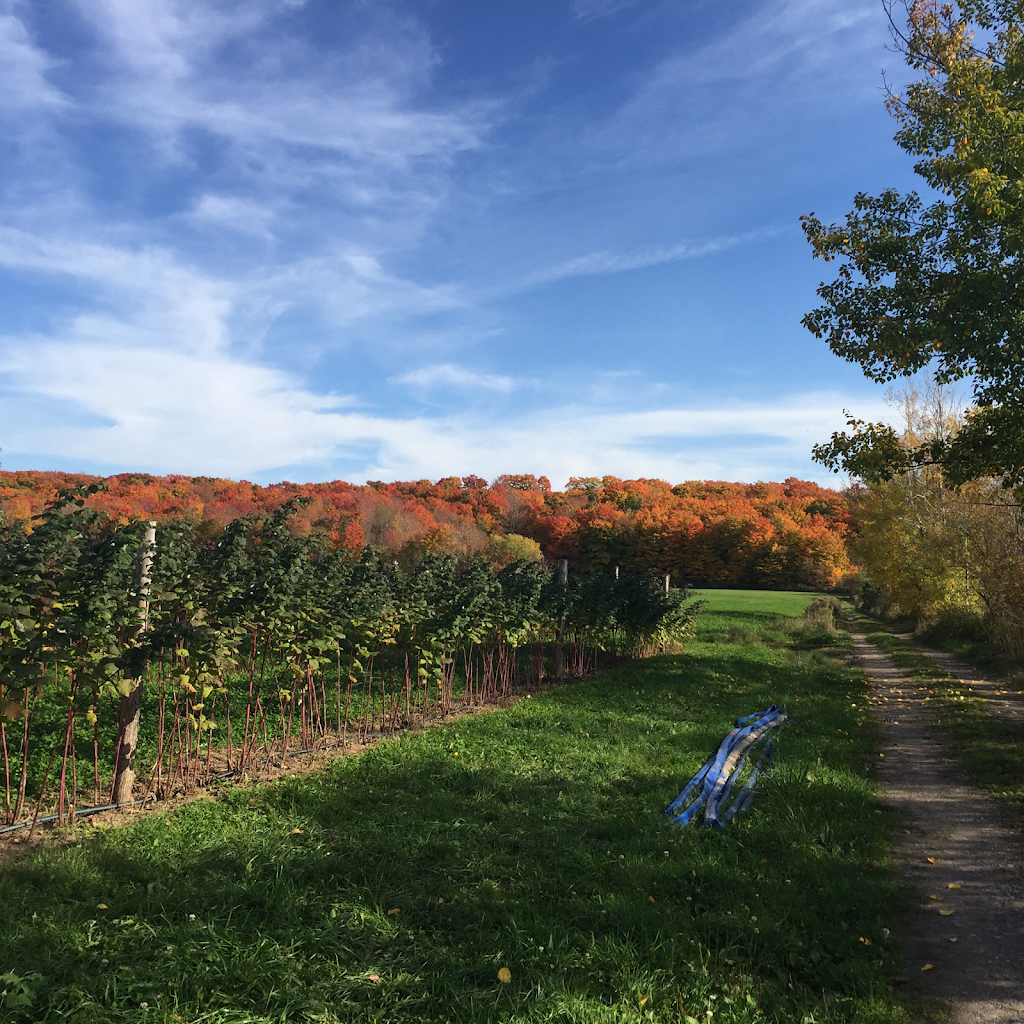 Vin Artisanal Le Ricaneux Enr | 5540 Rang Sud-Est, Saint-Charles-de-Bellechasse, QC G0R 2T0, Canada | Phone: (418) 887-3789