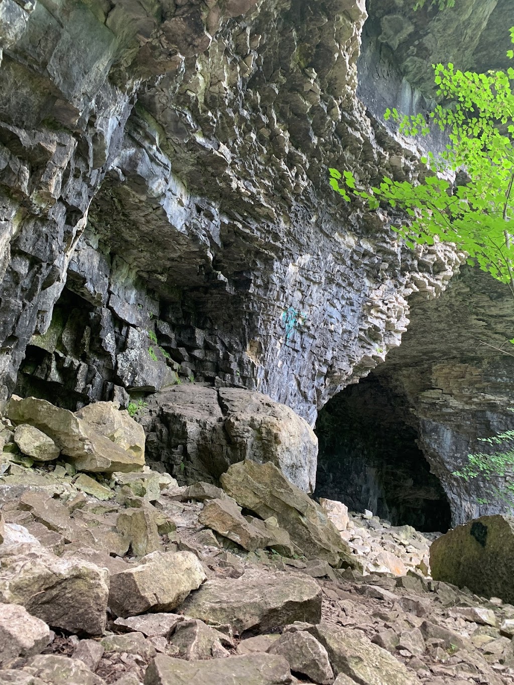 Bruces Caves Conservation Area | Grey Rd 1, Wiarton, ON N0H 2T0, Canada | Phone: (519) 376-3076