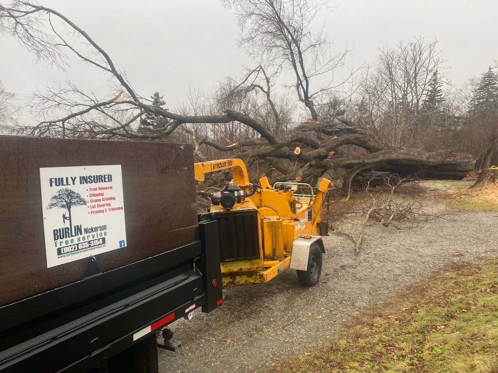 Burlin Nickerson Tree Service | 447 Nova Scotia Trunk 3, Lower East Pubnico, NS B0W 2A0, Canada | Phone: (902) 635-3154