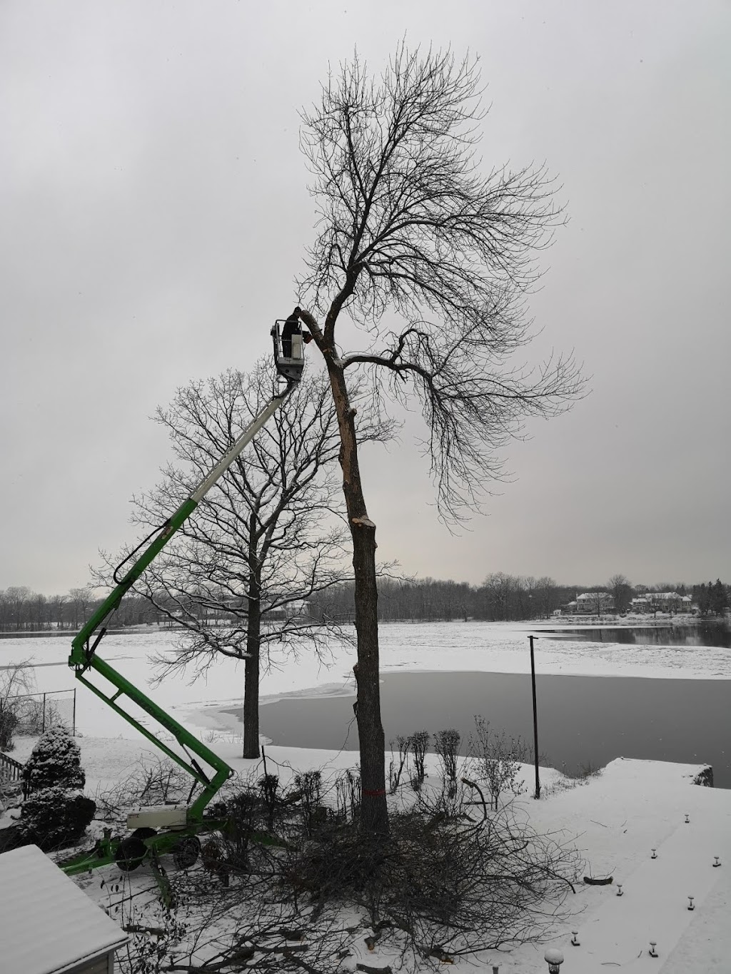 TAS Tree Removal & Pruning | 20 Rue de Lausanne, Kirkland, QC H9H 3Y6, Canada | Phone: (514) 701-2684