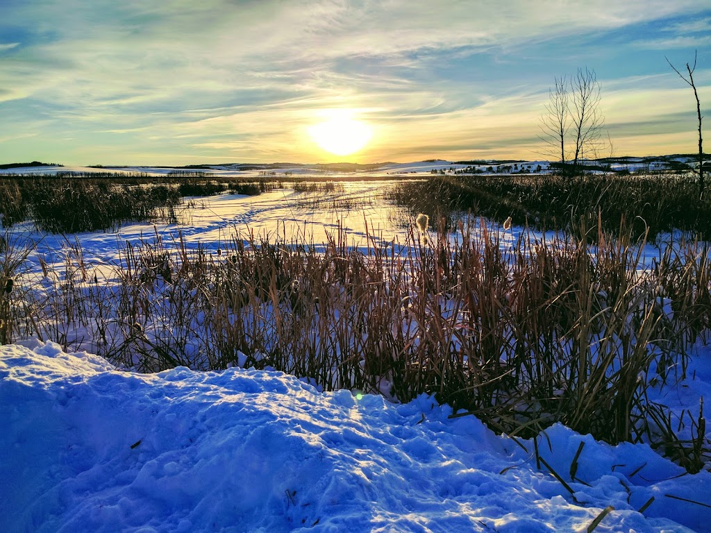 Lloyd Park Disc Golf Course | Foothills County, AB T0L 1W0, Canada | Phone: (403) 256-4113