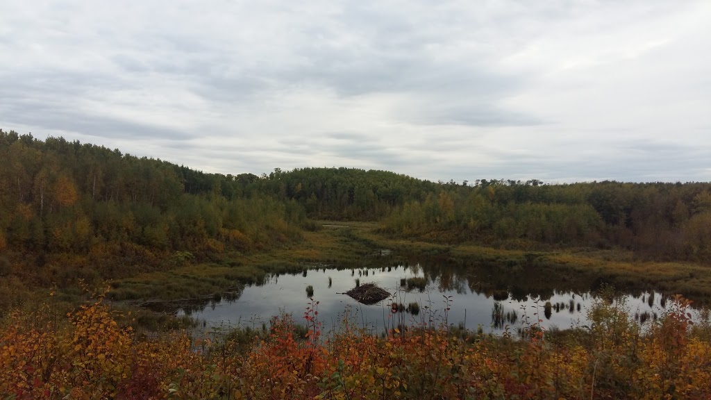 Miquelon Lake Provincial Park | 20514 SEC HWY 623, Camrose County No. 22, AB T4V 2N1, Canada | Phone: (780) 672-7274