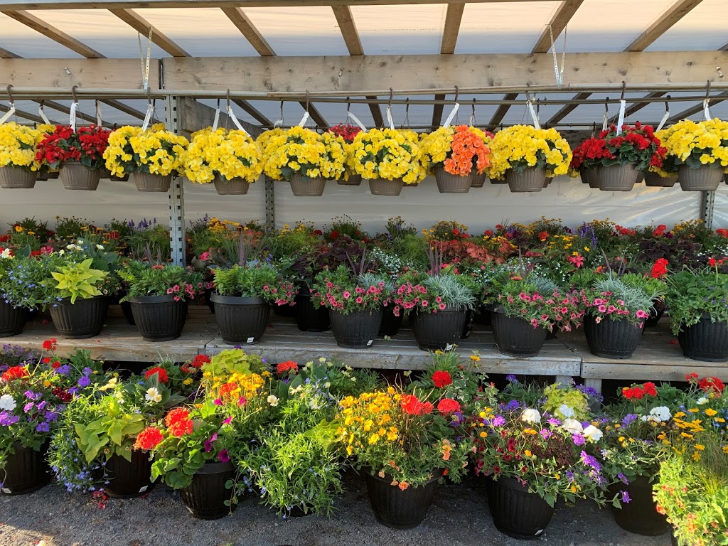 Denise & Sylvain Garden Centre | 767 Notre Dame St, Embrun, ON K0A 1W1, Canada | Phone: (613) 677-1052