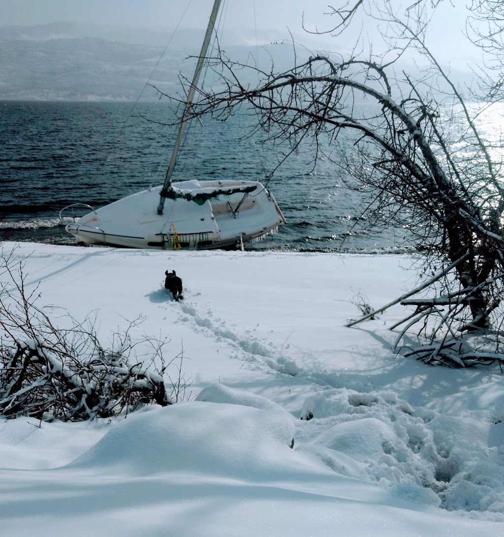 Antlers Beach Regional Park | Peachland, BC V0H 1X9, Canada | Phone: (250) 763-4918