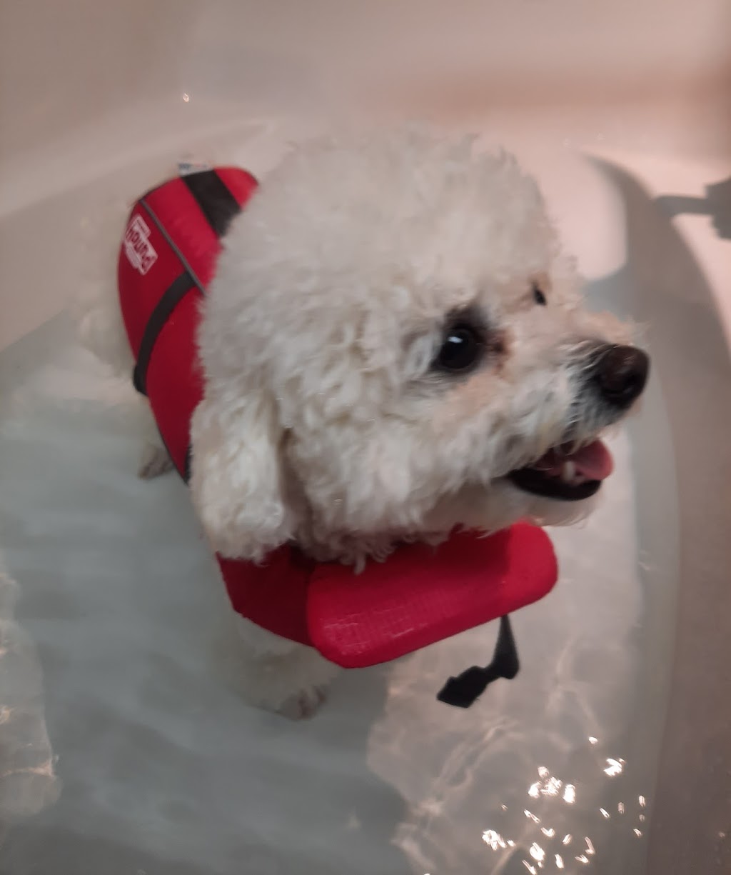 Canine Aquatherapy with Faith | 2836 Holt Rd, Bowmanville, ON L1C 3K4, Canada | Phone: (905) 391-9717