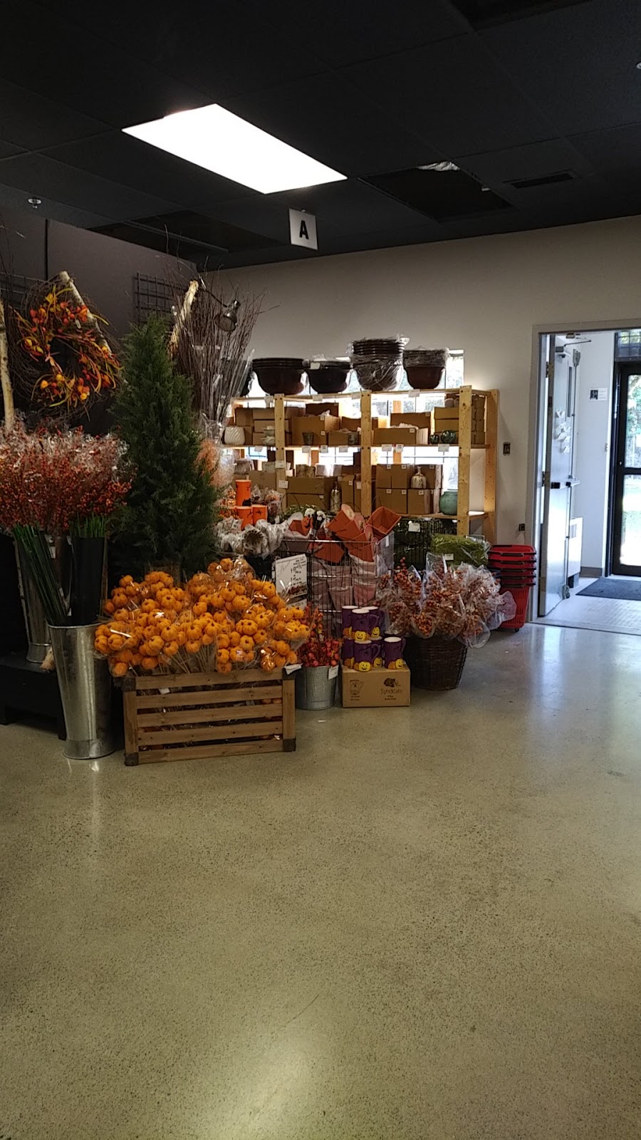 UFG Floral Supplies | 4085 Marine Way, Burnaby, BC V5J 5E2, Canada | Phone: (604) 430-0001