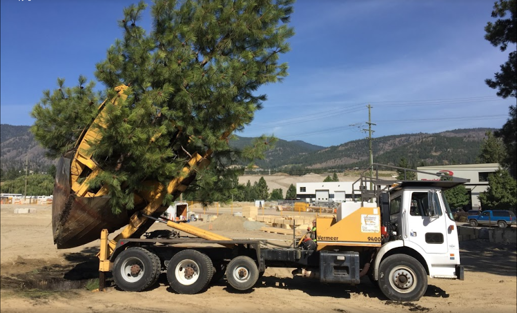 Maple Leaf Tree Movers Ltd | 14571 Westminster Hwy, Richmond, BC V6V 1A4, Canada | Phone: (604) 880-2555