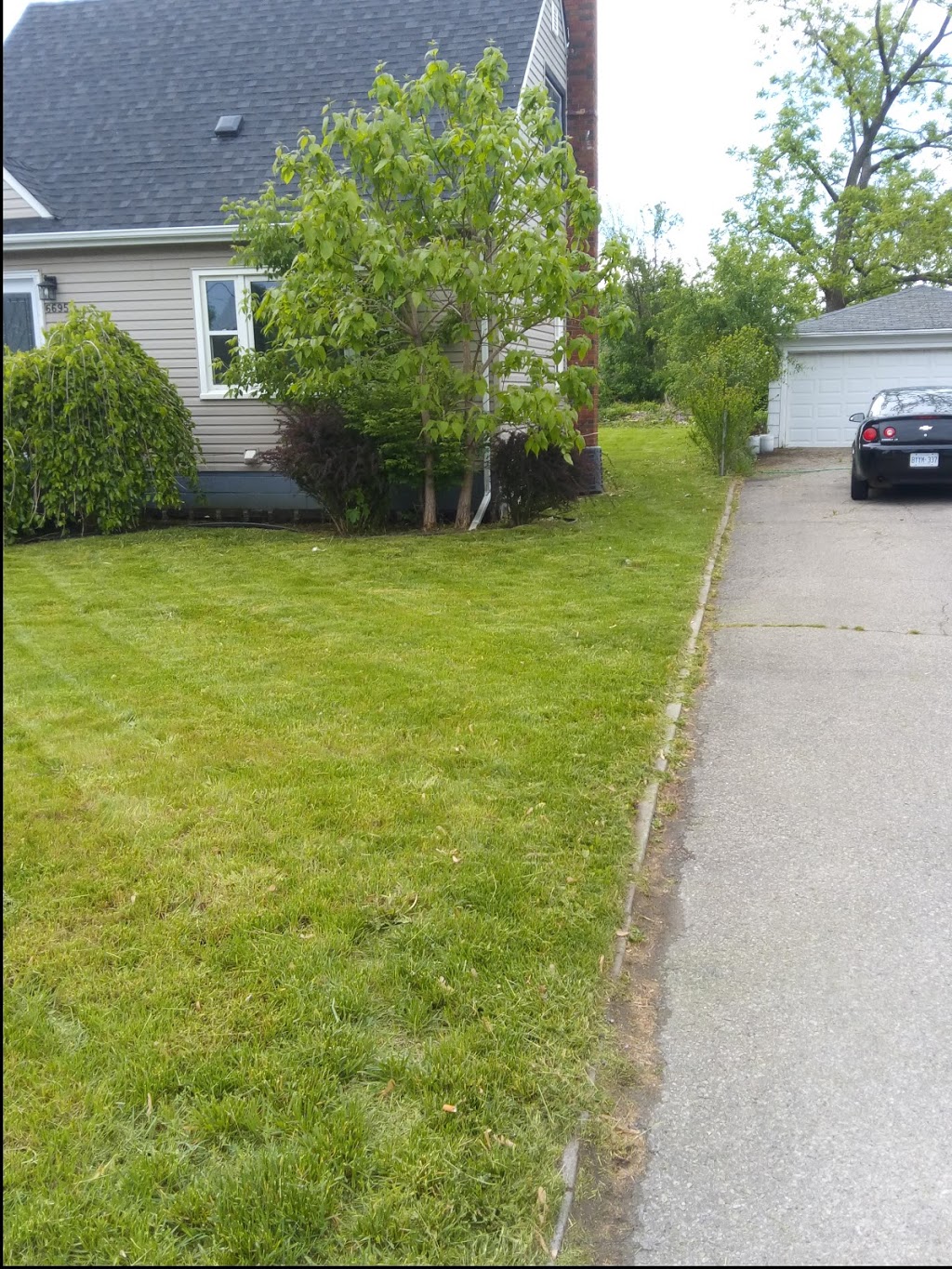 Donnieslawnmowingservice | 24 Nathalie Ct, Welland, ON L3B 6H7, Canada | Phone: (289) 931-8300