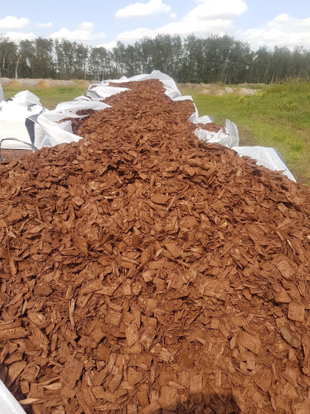 Mulch People | Near Range Rr 201, Stettler, AB T0C 2L0, Canada | Phone: (403) 740-3610