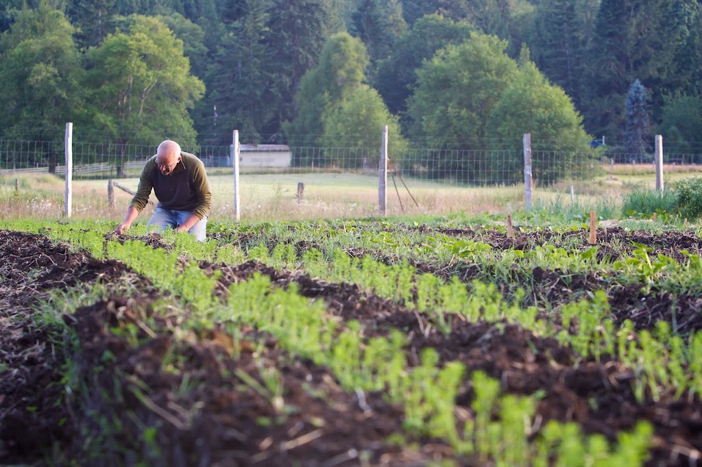 Salt Spring Seeds | 250 Toynbee Rd, Salt Spring Island, BC V8K 2W1, Canada | Phone: (250) 537-5269