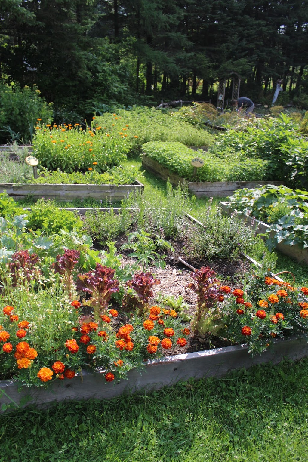 Les Jardins Atsenti Auarata | 68 Rue Dupont, Pont-Rouge, QC G3H 1M2, Canada | Phone: (418) 873-3105