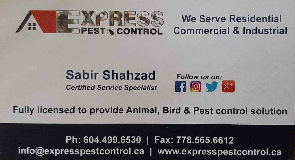 Express Pest Canada - Pitt Meadows-Maple Ridge | 12250 Mcmyn Ave, Pitt Meadows, BC V3Y 1C8, Canada | Phone: (604) 499-6530