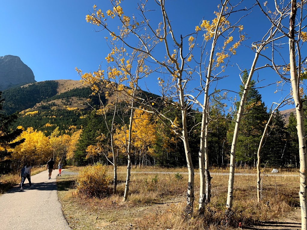 Kananaskis Village Baseball Field | Kananaskis, AB T0L, Canada | Phone: (866) 427-3582