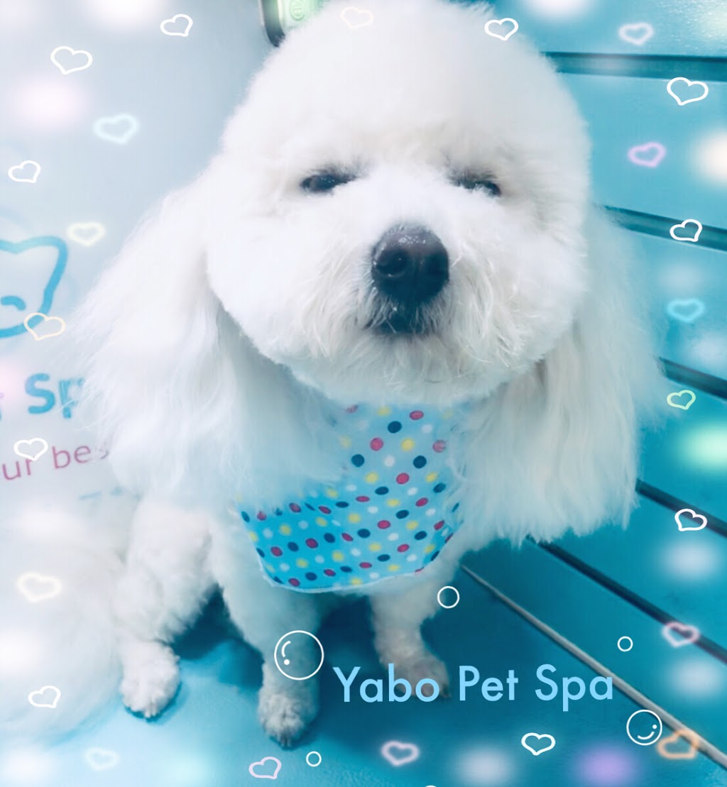 Yabo Pet Spa 寵物造型工作室 | 150-815 1st St, New Westminster, BC V3L 2H7, Canada | Phone: (604) 727-1086