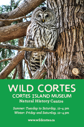 Wild Cortes | 1255 Seaford Rd Suite 2, Mansons Landing, BC V0P 1K0, Canada | Phone: (250) 935-6340