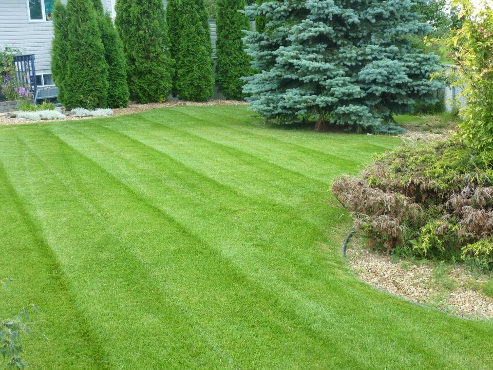 Scotts Quality Lawn Care | 5234 46 St, Camrose, AB T4V 1H3, Canada | Phone: (780) 678-6450