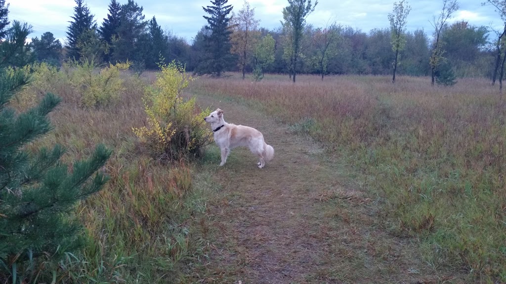 Southwest Dog Park | C.N. Yards Management Area, Saskatoon, SK S0K 1V0, Canada